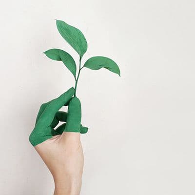 Belajar Sambil Dukung Hidup Go Green dengan 6 Tips Ini